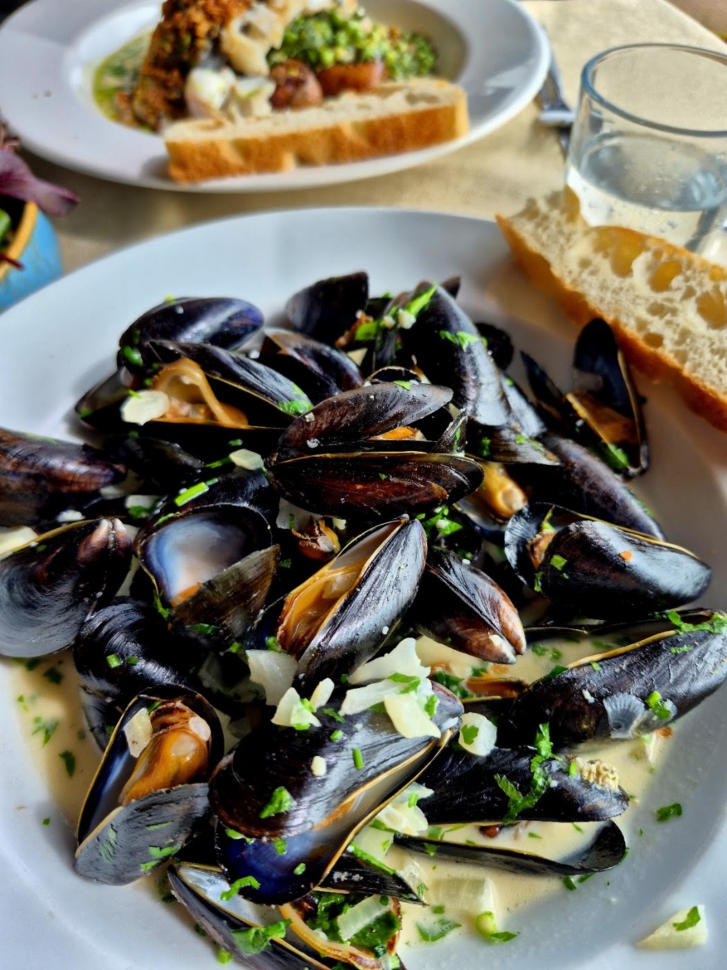 mussels